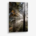 Line of Light – Glas