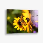 Petal Circuit – Glas