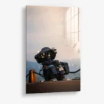 Road Sentinel – Glas