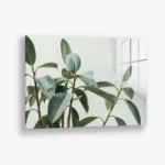 Soft Structure – Glas