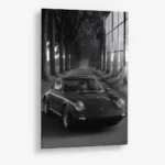 Treeline Porsche – Glas