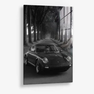 Treeline Porsche – Glas