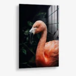 Tropical Curve – Glas