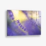 Violet Frequency – Glas