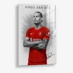 Virgil van Dijk II – Glas