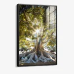 Anchorlight – Glas - Bild 2