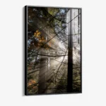 Line of Light – Glas - Bild 2