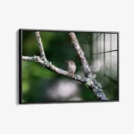 Quiet Operation – Glas - Bild 2