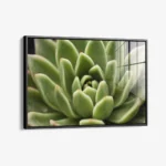 Thorn Array – Glas - Bild 2