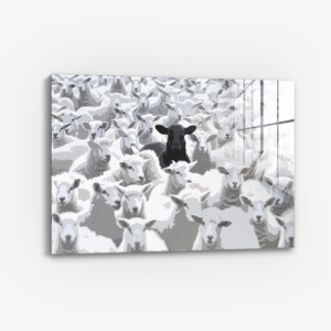 The Black Sheep - Glas